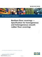 Bsi bs en 01817 2010