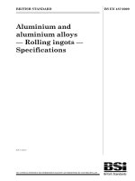 Bsi bs en 00487 2009