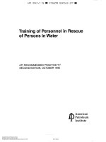 Api rp t 7 1995 scan (american petroleum institute)