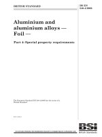 Bsi bs en 00546 4 2006