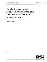 Bsi bs en 00416 1 2009