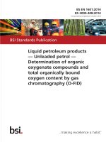 Bsi bs en 01601 2014 (bs 2000 408 2014)