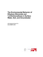 Api publ 4774 2008 (american petroleum institute)