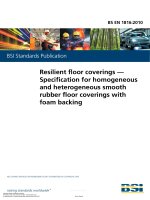 Bsi bs en 01816 2010