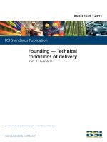 Bsi bs en 01559 1 2011