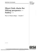 Bsi bs en 00818 4 1996 + a1 2008