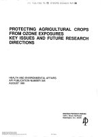 Api publ 305 1991 scan (american petroleum institute)