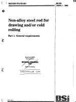 Bsi bs en 10016 1 1995 scan