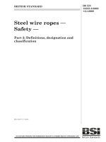 Bsi bs en 12385 2 2002 + a1 2008