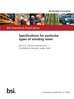 Bsi bs en 60317 0 2 2014
