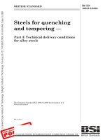 Bsi bs en 10083 3 2006