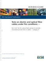 Bsi bs en 60332 3 22 2009