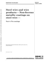 Bsi bs en 10244 4 2001