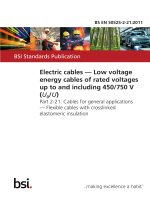 Bsi bs en 50525 2 21 2011