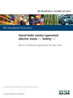 Bsi bs en 60745 2 13 2009 + a1 2011