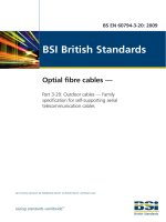 Bsi bs en 60794 3 20 2009