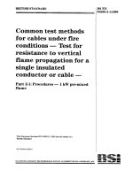 Bsi bs en 50265 2 1 1999 scan