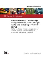 Bsi bs en 50525 2 22 2011