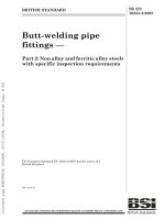 Bsi bs en 10253 2 2007