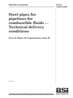 Bsi bs en 10208 2 2009
