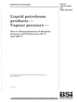 Bsi bs en 13016 2 2007 (bs 2000 409 2007)