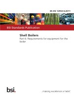 Bsi bs en 12953 6 2011