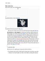 Đ￡ mắc ma ĐỊA CHẤT CÔNG TRÌNH