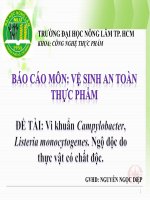 Báo Cáo -  Vệ Sinh An Toàn Thực Phẩm -  Đề Tài -   Vi Khuẩn Campylobacter,  Listeria Monocytogenes. Ngộ Độc Do Thực Vật Có Chất Độc