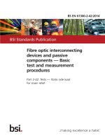 Bsi bs en 61300 2 42 2014