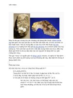 Mica ĐỊA CHẤT CÔNG TRÌNH