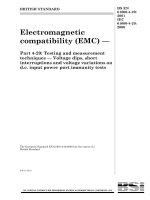 Bsi bs en 61000 4 29 2001 (iec 61000 4 29 2000)