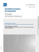 Iec 60034 4 2008
