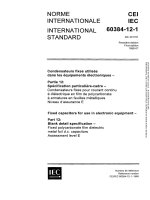 Iec 60384 12 1 1988 scan