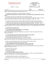 Đề thi thử thpt 2023  (11)