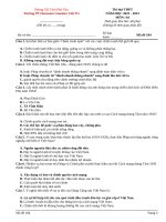 Đề thi thpt môn lịch sử 2023 (2)