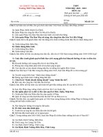 Đề thi thử môn lịch sử thpt 2023 (1)