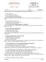 Đề thi thử thpt môn lịch sử 2023 (12)