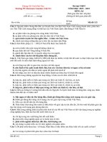 Đề thi thpt môn lịch sử 2023 (13)