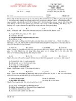 Đề thi thử thpt môn vật lí (231)