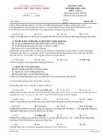 Đề thi thử thpt môn vật lí (243)