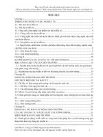 Báo cáo đề xuất cấp giấy phép môi trường dự án Chế tạo linh kiện ô tô Khu C, Khu công nghiệp Nam Cấm, huyện Nghi Lộc, tỉnh Nghệ An