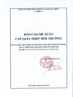 Báo cáo đề xuất cấp giấy phép môi trường Dự án: Khu đất phía Nam đường trục khu kinh tế nối dài lý trình km 2+400, khu kinh tế Nhơn Hội
