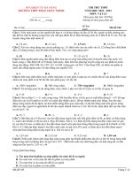 Đề thi thử thpt môn vật lí (295)