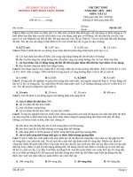 Đề thi thử thpt môn vật lí (239)