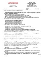 Đề thi thử môn vật lí 12 (77)