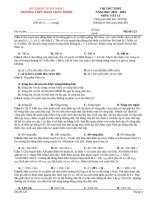 Đề thi thử thpt môn vật lí (219)