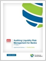 Pg auditing liquidity risk management 2nd ed