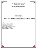 Tiểu luận đề tài phân tích báo cáo tài chính của công ty cổ phần tập đoàn masan