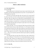 Sáng kiến kinh nghiệm  teaching reading method