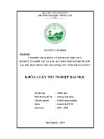 Luận văn tìm hiểu hoạt động và đánh giá hiệu quả kinh tế của hợp tác xã rau an toàn thị trấn hùng sơn tại thị trấn hùng sơn, huyện đại từ, tỉnh thái nguyên